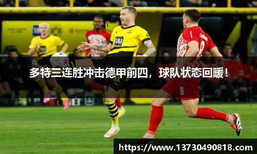 半岛bob·官方