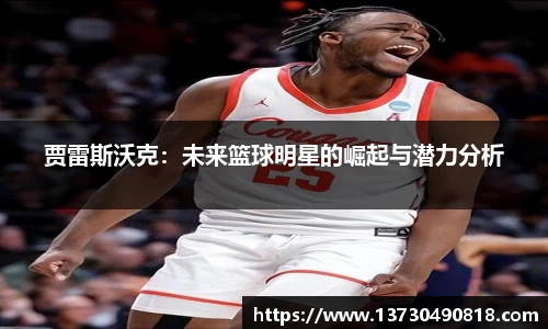 半岛bob·官方网站