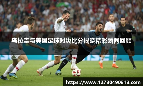 BoB半岛·体育中国官方网站